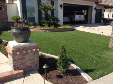 Artificial Grass Photos: Grass Carpet Granite Bay, California Design Ideas, Front Yard Design