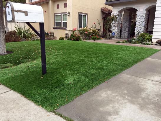 Artificial Grass Photos: Grass Carpet Kensington, California Landscaping, Front Yard Landscape Ideas