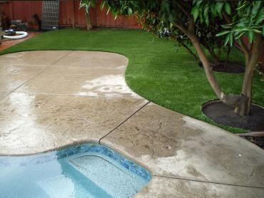 Artificial Grass Photos: Grass Carpet Pacifica, California Backyard Playground, Backyard Designs