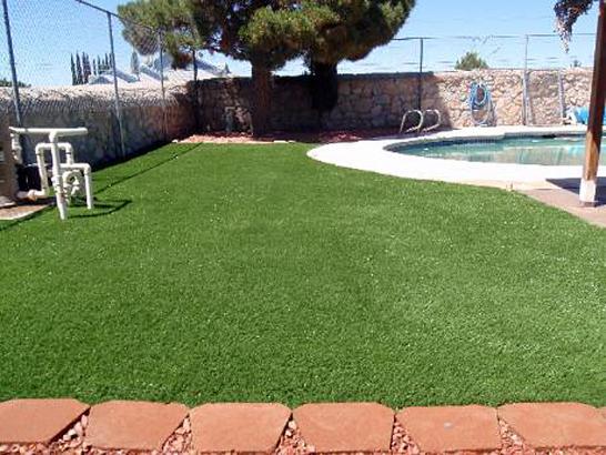 Artificial Grass Photos: Grass Carpet Waldon, California Dog Grass, Above Ground Swimming Pool