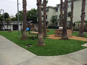 Artificial Grass Photos: Grass Carpet Watsonville, California Landscaping Business, Commercial Landscape