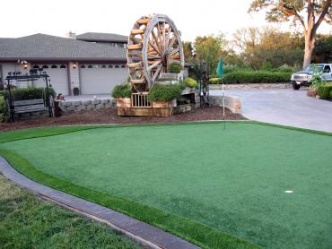 Artificial Grass Photos: Grass Carpet West Sacramento, California Design Ideas, Small Front Yard Landscaping