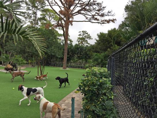 Artificial Grass Photos: Grass Installation Bayview, California Dog Run, Commercial Landscape