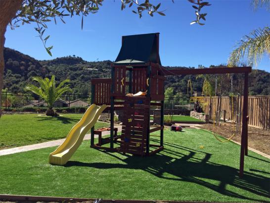 Artificial Grass Photos: Grass Installation Hercules, California Home And Garden