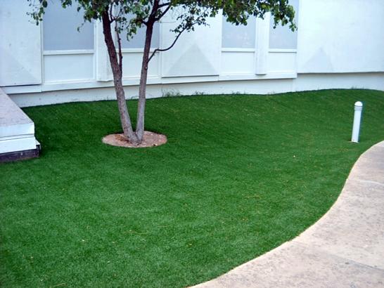 Artificial Grass Photos: Grass Installation Mountain View, California Landscape Design, Commercial Landscape