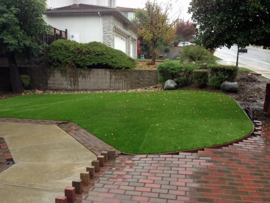 Artificial Grass Photos: Grass Installation San Jose, California Design Ideas, Backyards