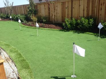 Artificial Grass Photos: Grass Turf Bayview, California Backyard Deck Ideas, Backyard Design