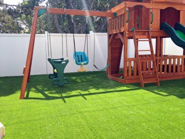 Artificial Grass Photos: Grass Turf Camanche Village, California Landscape Photos, Backyard Garden Ideas