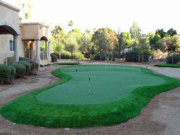 Artificial Grass Photos: Grass Turf Courtland, California Lawns, Backyard Landscaping Ideas