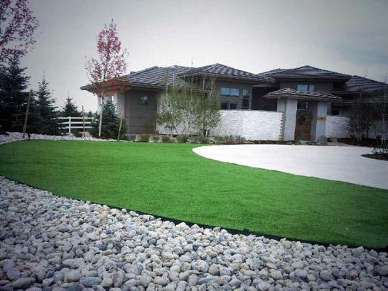 Artificial Grass Photos: Grass Turf Del Monte Forest, California Landscape Ideas, Front Yard Landscaping