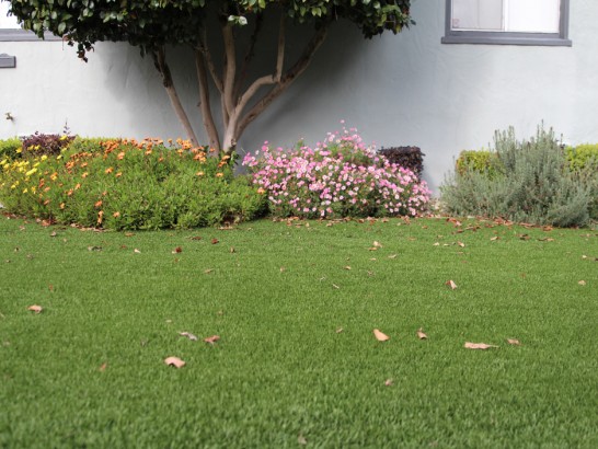 Artificial Grass Photos: Grass Turf East Oakdale, California Rooftop, Front Yard Ideas