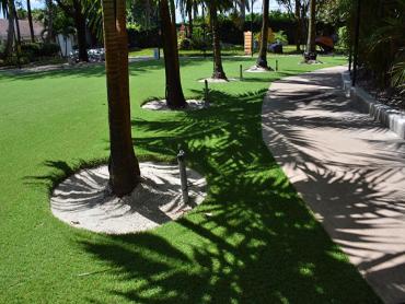 Artificial Grass Photos: Grass Turf El Cerrito, California Dog Grass, Commercial Landscape