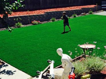 Artificial Grass Photos: Grass Turf Florin, California Garden Ideas, Backyard Design