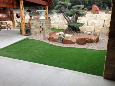 Artificial Grass Photos: Grass Turf Freeport, California Lawn And Landscape, Backyard Design