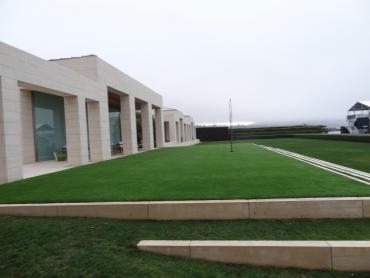 Artificial Grass Photos: Grass Turf Fremont, California Lawn And Landscape, Commercial Landscape