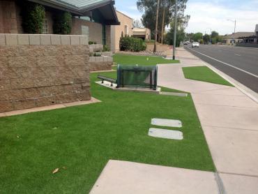 Artificial Grass Photos: Grass Turf Geyserville, California Landscaping, Small Front Yard Landscaping