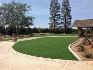 Artificial Grass Photos: Grass Turf Hornitos, California City Landscape, Front Yard Landscaping Ideas