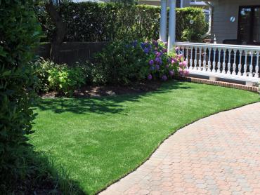 Artificial Grass Photos: Grass Turf Pasatiempo, California Roof Top, Front Yard Design