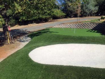 Artificial Grass Photos: Grass Turf Pleasanton, California Office Putting Green, Front Yard Landscape Ideas