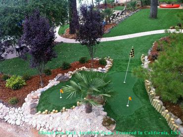 Artificial Grass Photos: Grass Turf San Jose, California Lawn And Landscape, Backyards