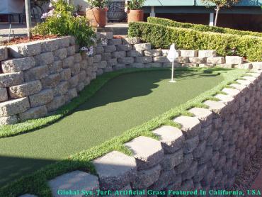 Green Lawn Alum Rock, California Landscape Design, Backyard Landscaping Ideas artificial grass