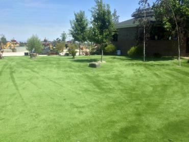 Artificial Grass Photos: Green Lawn Brentwood, California Cat Playground, Recreational Areas