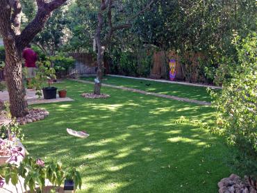 Artificial Grass Photos: Green Lawn Clay, California Design Ideas, Backyard Garden Ideas