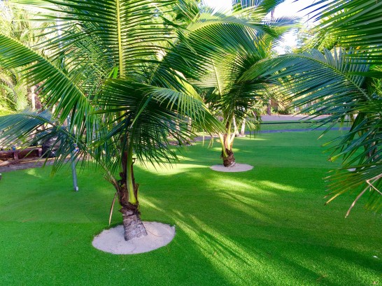 Artificial Grass Photos: Green Lawn El Nido, California Design Ideas, Commercial Landscape