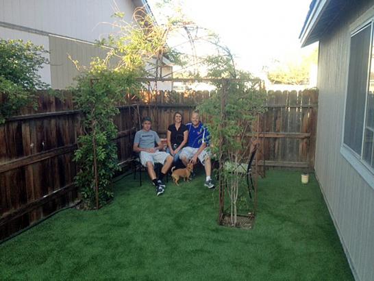 Artificial Grass Photos: Green Lawn Fairview, California Landscape Design, Dogs