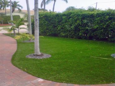 Artificial Grass Photos: Green Lawn San Rafael, California Backyard Deck Ideas, Small Front Yard Landscaping