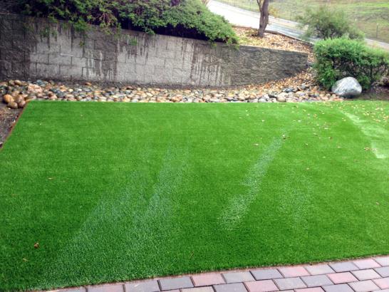 Artificial Grass Photos: Green Lawn Sunnyvale, California Design Ideas, Backyard Ideas