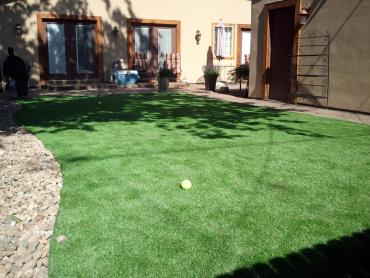 Artificial Grass Photos: Green Lawn Victor, California Landscaping, Backyard Landscaping Ideas