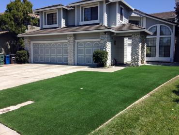 Artificial Grass Photos: How To Install Artificial Grass Bay Point, California Gardeners, Front Yard Design