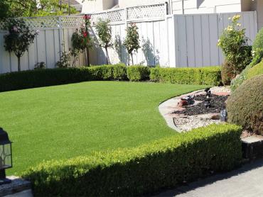 Artificial Grass Photos: How To Install Artificial Grass Cazadero, California Rooftop, Backyard Landscaping Ideas