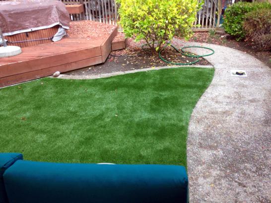 Artificial Grass Photos: How To Install Artificial Grass Clayton, California Design Ideas, Backyard Ideas