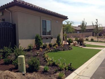 Artificial Grass Photos: How To Install Artificial Grass Fetters Hot Springs-Agua Caliente, California Lawn And Garden, Front Yard Design