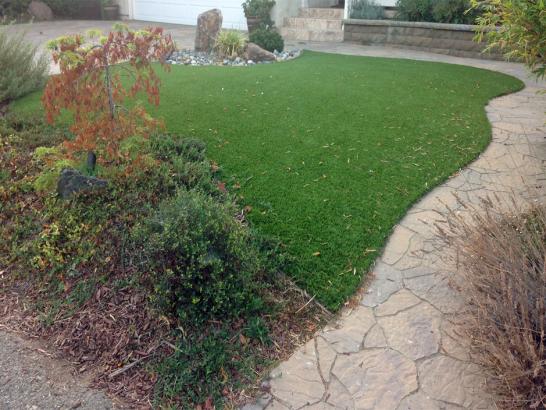 Artificial Grass Photos: How To Install Artificial Grass Grayson, California Dog Parks, Backyard Landscaping