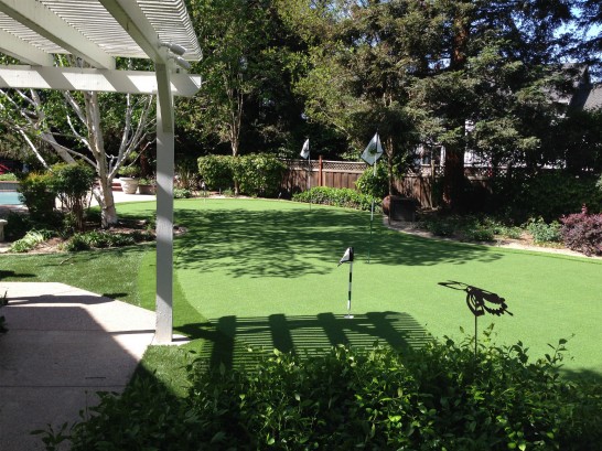 Artificial Grass Photos: How To Install Artificial Grass Laguna, California Landscaping