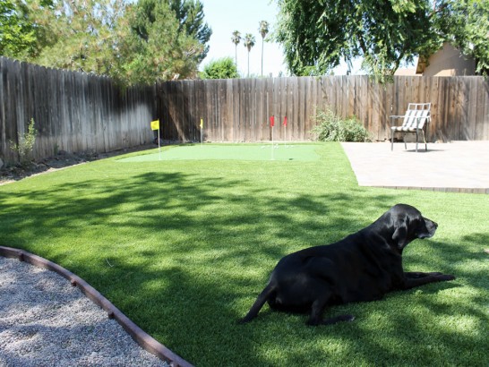 Artificial Grass Photos: How To Install Artificial Grass Lockeford, California Lawn And Garden, Grass for Dogs