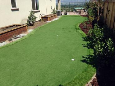 Artificial Grass Photos: How To Install Artificial Grass Soledad, California Landscape Design, Backyard