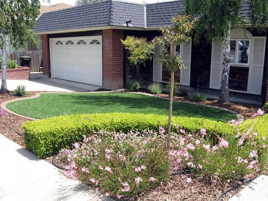 Artificial Grass Photos: How To Install Artificial Grass Stevinson, California Landscape Design, Front Yard Landscaping
