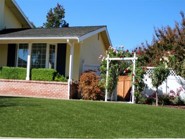 Artificial Grass Photos: How To Install Artificial Grass Windsor, California Roof Top, Small Front Yard Landscaping