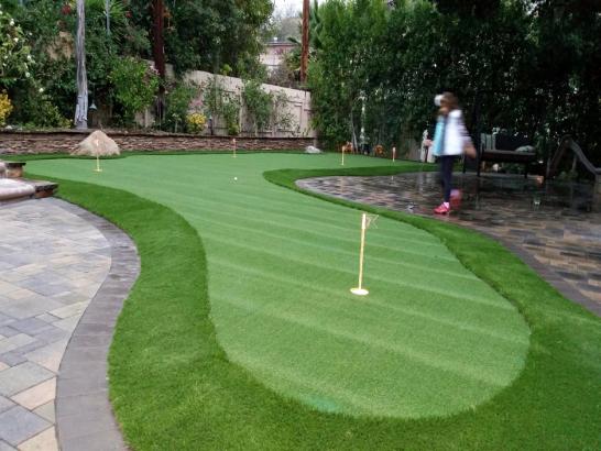 Artificial Grass Photos: Installing Artificial Grass Alameda, California Best Indoor Putting Green, Backyards