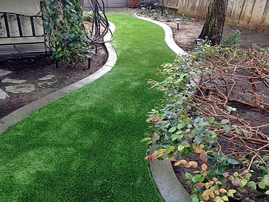 Artificial Grass Photos: Installing Artificial Grass American Canyon, California Design Ideas, Backyard Designs