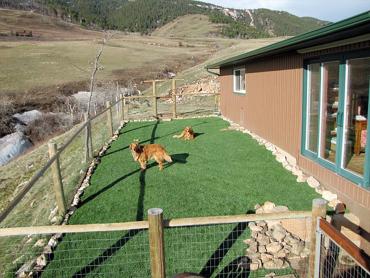 Artificial Grass Photos: Installing Artificial Grass Ashland, California Landscape Rock, Backyard