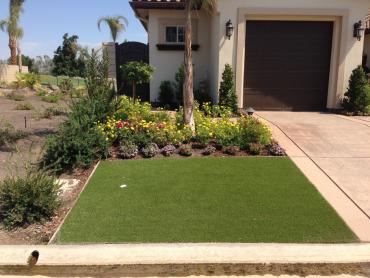 Artificial Grass Photos: Installing Artificial Grass Big Sur, California Landscape Photos, Front Yard Ideas