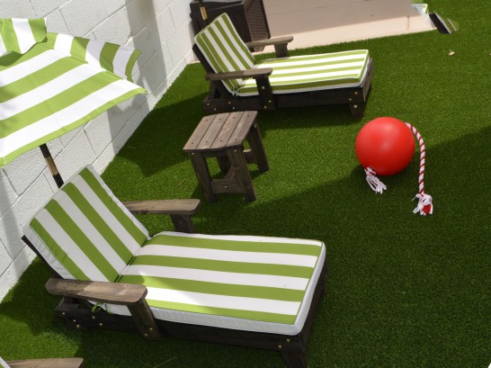 Artificial Grass Photos: Installing Artificial Grass Bloomfield, California Gardeners, Backyard Landscaping Ideas