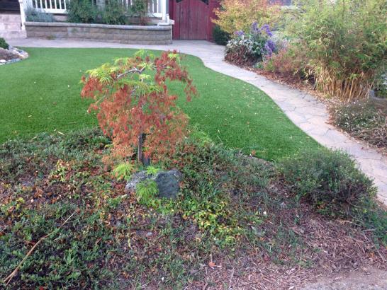 Artificial Grass Photos: Installing Artificial Grass Dublin, California Landscape Design, Front Yard Design