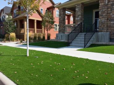 Installing Artificial Grass East Palo Alto, California City Landscape, Front Yard Design artificial grass