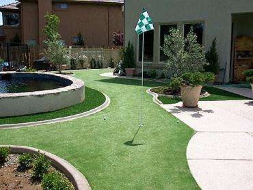 Artificial Grass Photos: Installing Artificial Grass Graton, California Office Putting Green, Backyard Designs